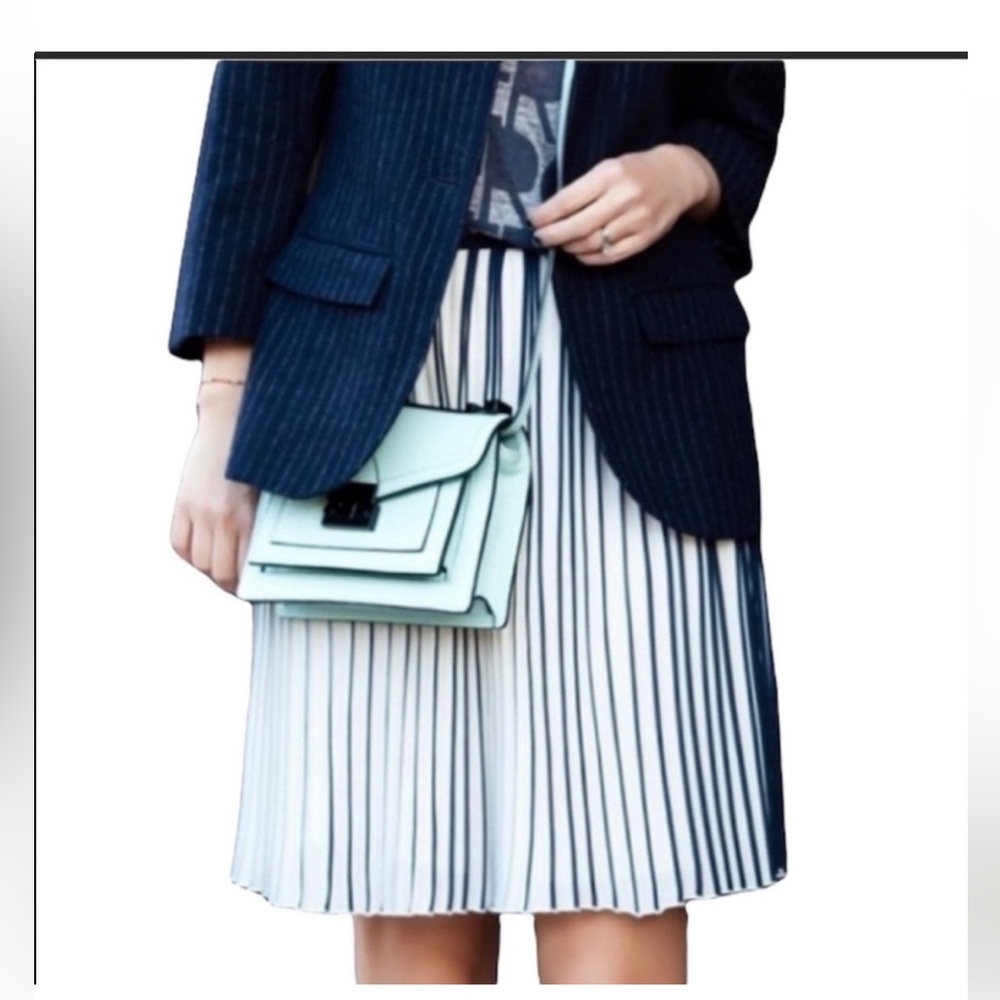 J. Crew Navy and Cream Pleated Skirt